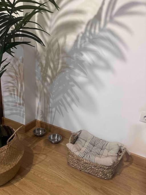 Apartamento El Picu Collanzo Exterior foto